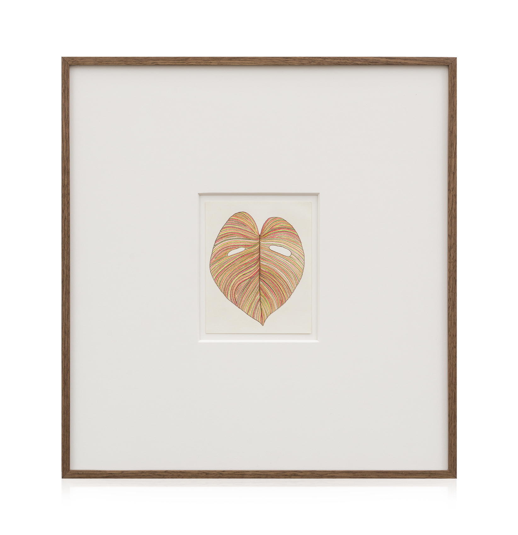 Monstera Drawing Solo 5_1